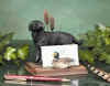 Lab and Duck Business Cardholder #3140