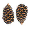 Pinecone Lodge Drawer Pulls